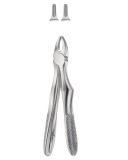 Extractive Forceps